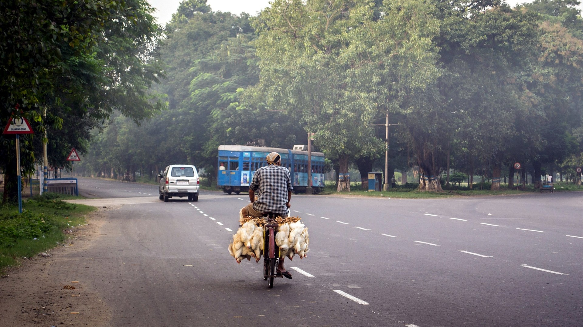 ভোরের কলকাতা: দুধওয়ালা থেকে খবরের কাগজওয়ালা