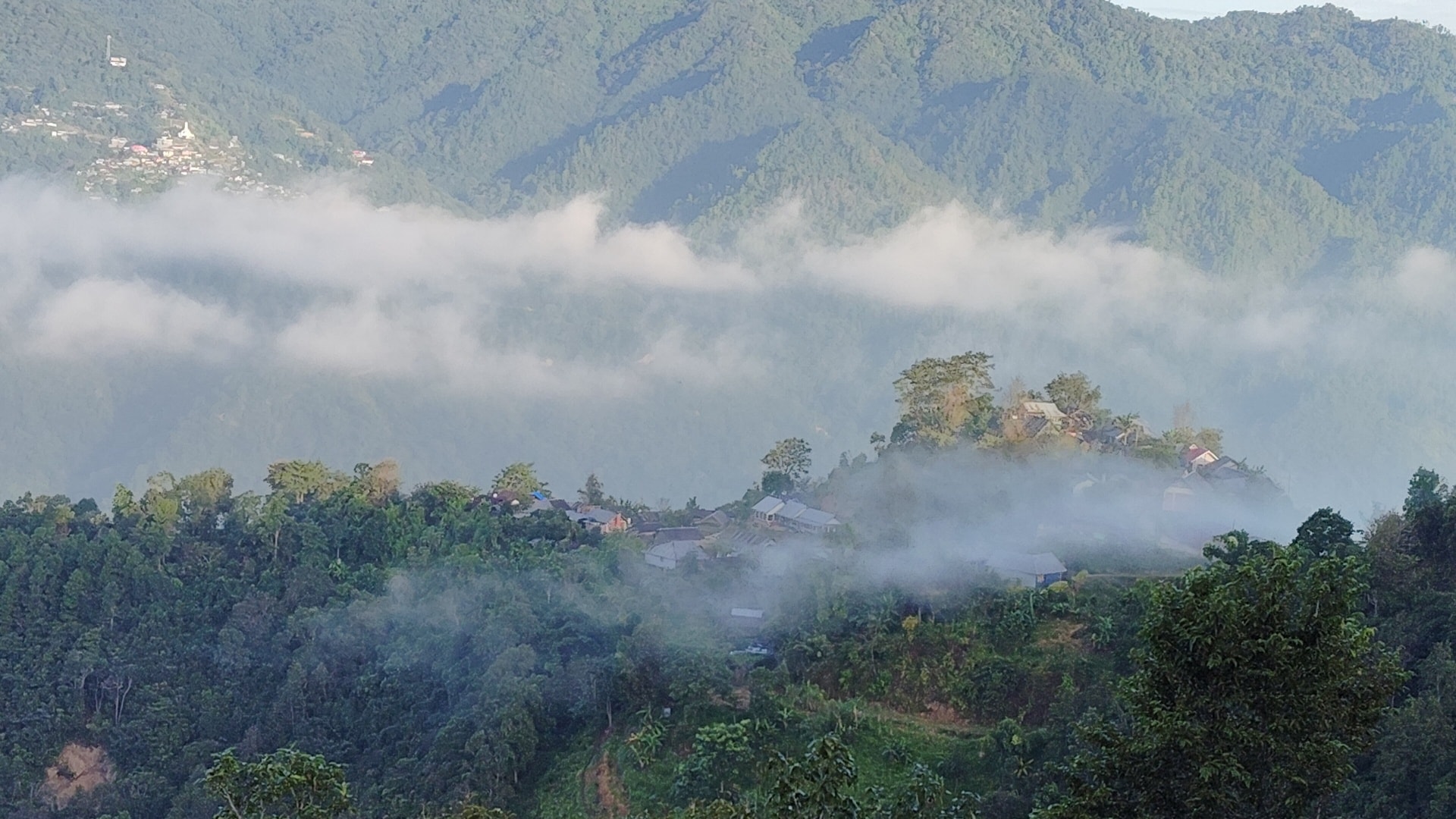 শীতের সকালের কুয়াশা ও পথচলার নিরাপত্তা
